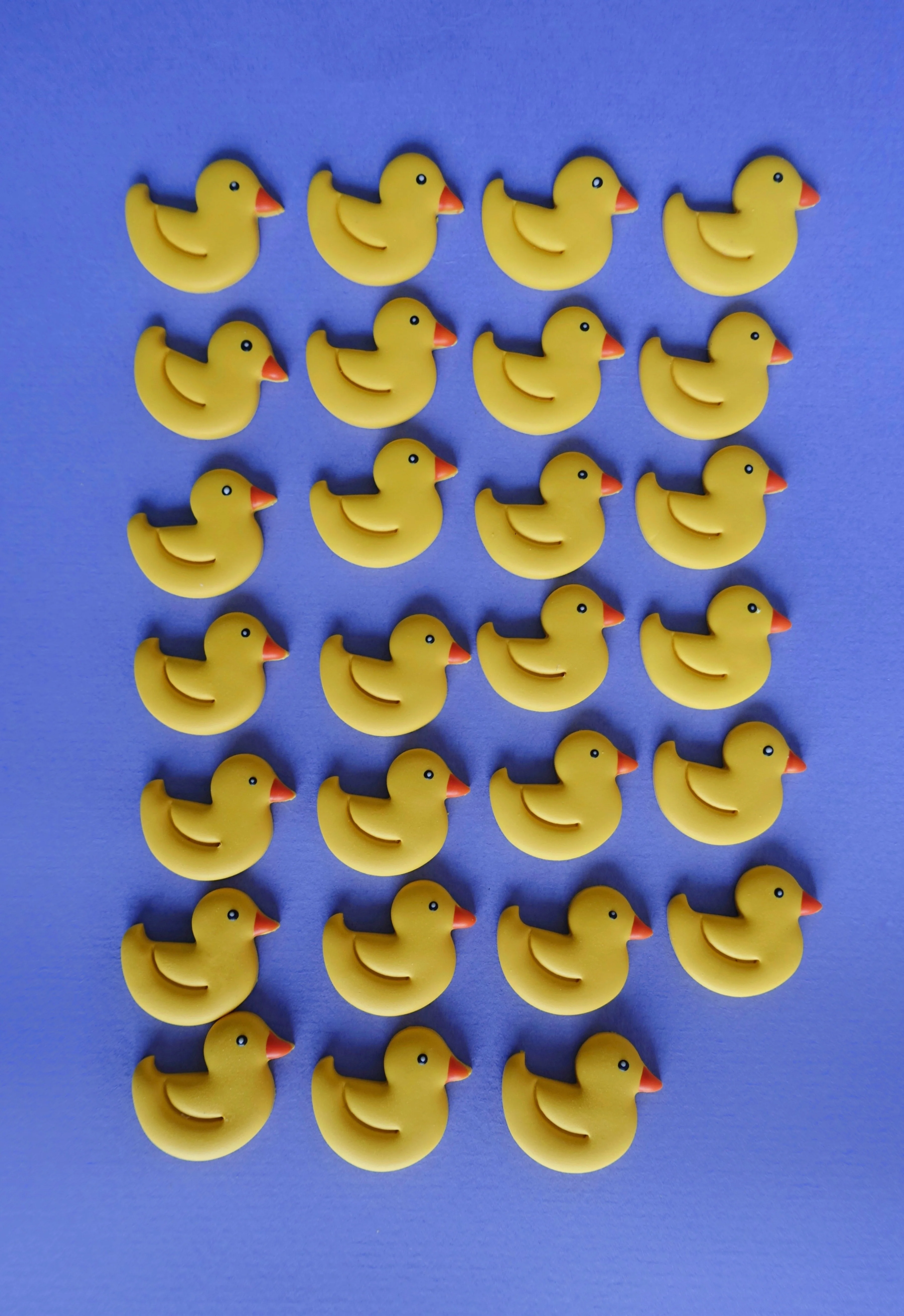 Dwight the Duck Bobbin - Image 13