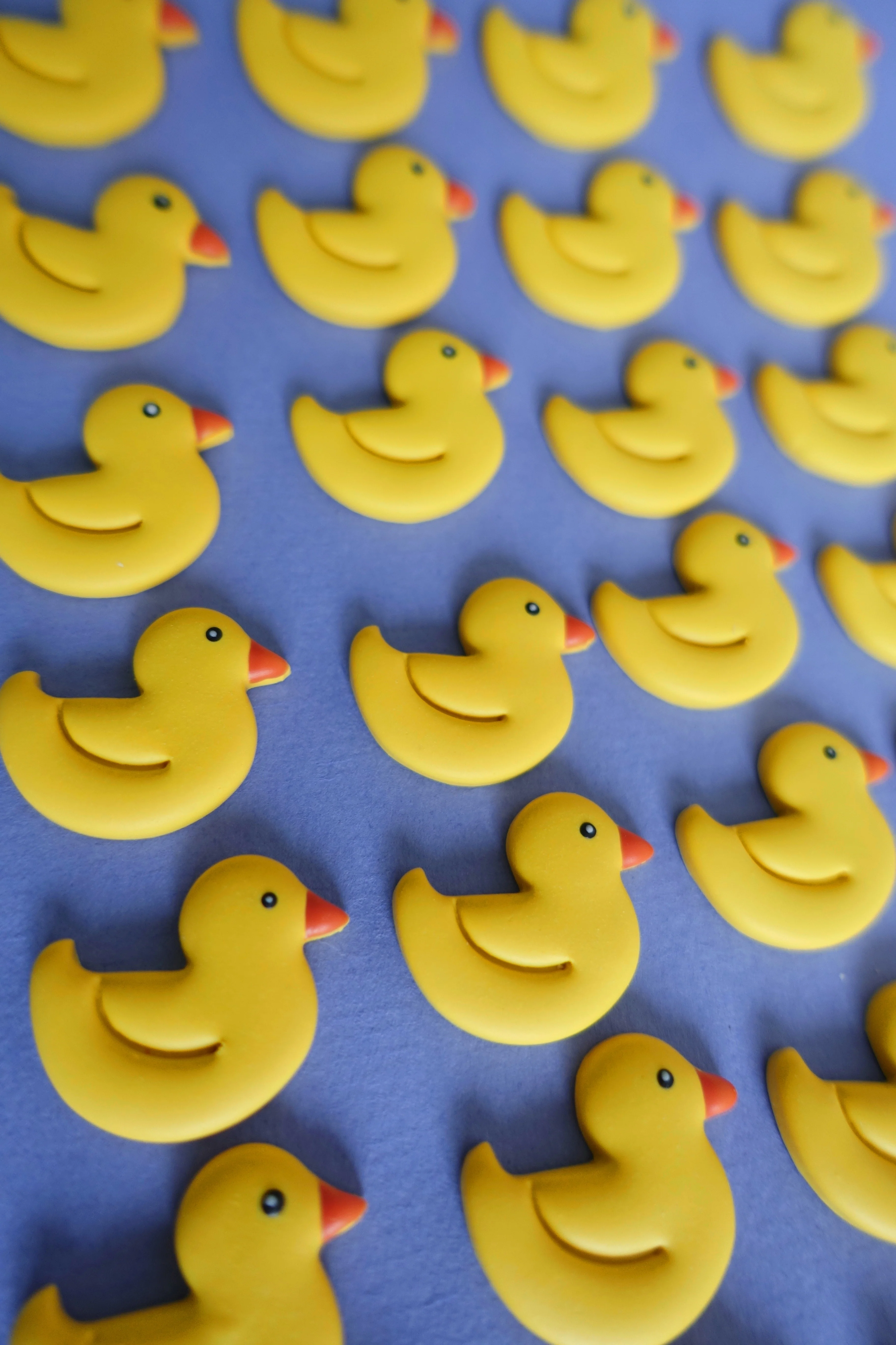 Dwight the Duck Bobbin - Image 14